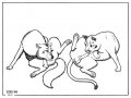 tor_087_cougar_and_wolf_3.jpg